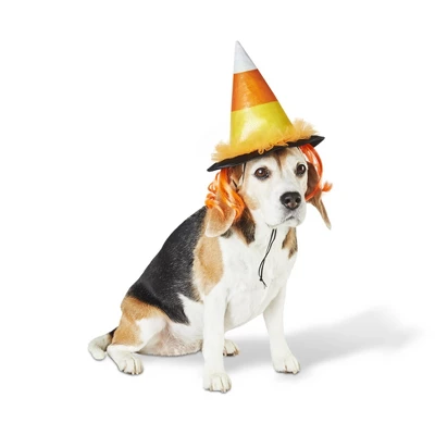 Candy Corn Witch Hat Dog And Cat Costume - Hyde And EEK! Boutiqueâ„¢ Black - Image 5