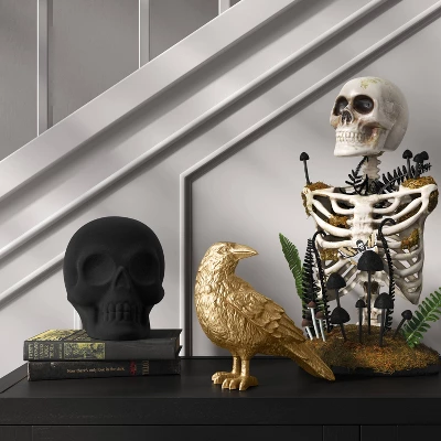 16.5" Plastic Skeleton Bust Halloween Decorative Prop - Hyde And EEK! Boutiqueâ„¢
