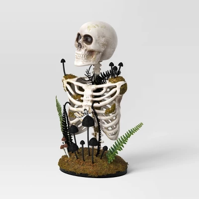 16.5" Plastic Skeleton Bust Halloween Decorative Prop - Hyde And EEK! Boutiqueâ„¢ - Image 2