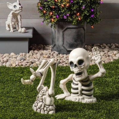 9.5" Pig Skeleton Halloween Decorative Prop - Hyde And EEK! Boutiqueâ„¢