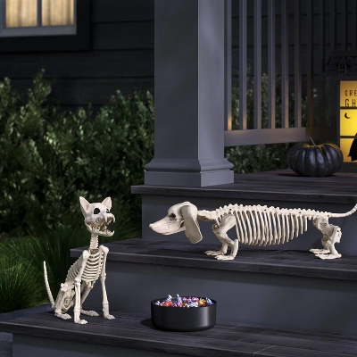 11.5" Chihuahua Skeleton Halloween Decorative Prop - Hyde And EEK! Boutiqueâ„¢